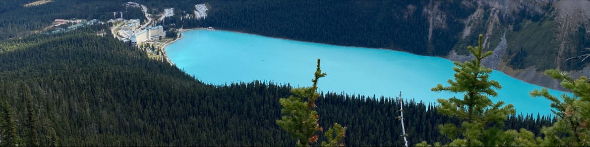Trees
